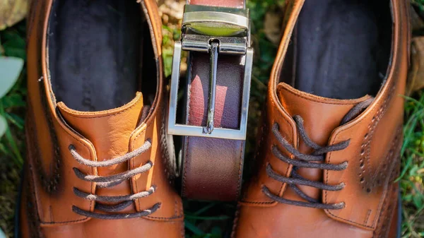 Sapatos Castanhos Masculinos Com Reflexão Alça — Fotografia de Stock