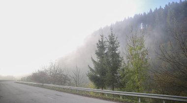 Güneşli havada dağlarda sisli ve ormanlı bir yol.