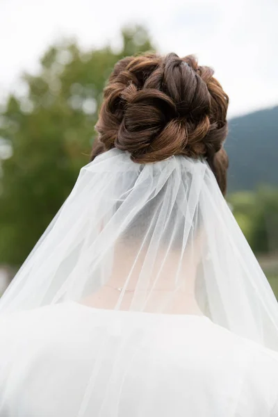 Novia Con Velo Peinado — Foto de Stock