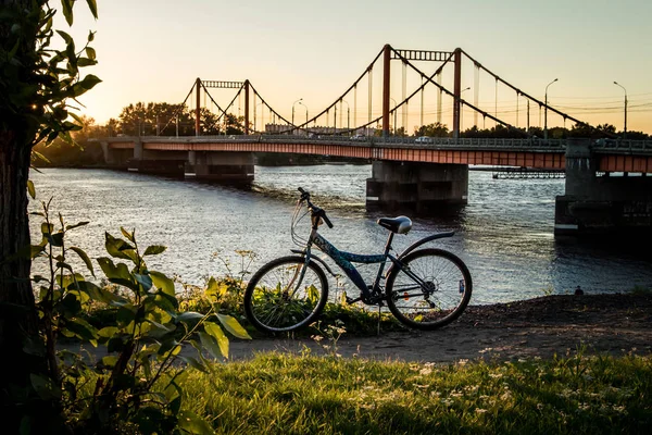 Yolu Köprülü Nehri Arkhangelsk Rusya Federasyonu — Stok fotoğraf