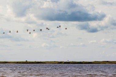 Beyaz Yalı görünümünü