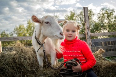 Bir keçi, bakım hayvanlar için yardımcı olur ile bir ahır, küçük bir güzel kız yürüyor.