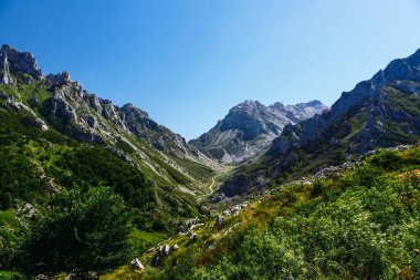 Güneşli bir günde kocaman yeşil bir vadi ve yüksek dağlarla kaplı bir manzara. Turizm, dağcılık, yürüyüş, seyahat ve yürüyüşle ilgili