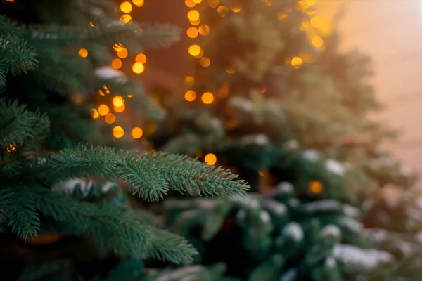 Sokakta Noel atmosferi. Sokakta Noel süsleri, çelenklerle süslenmiş Noel ağaçları