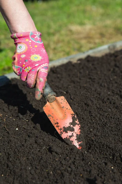 農家は種を植えるための土壌を準備する 農家の手は トロエルで地球を掘る — ストック写真