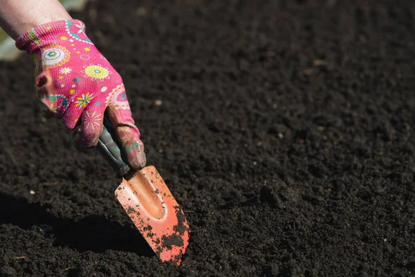 農家は種を植えるための土壌を準備する 農家の手は トロエルで地球を掘る — ストック写真