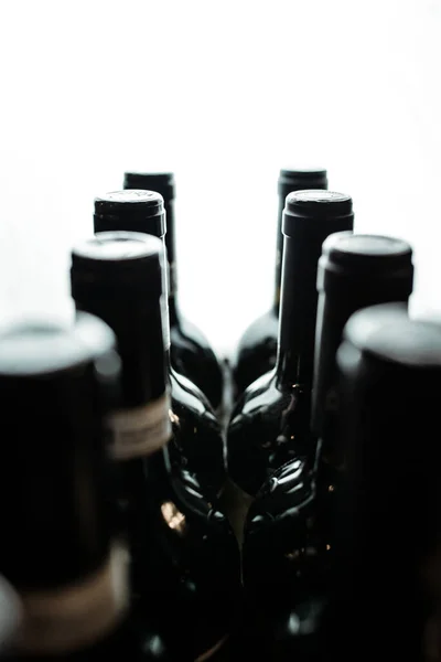 Botellas Vino Oscuro Pie Una Fila Luz Fondo — Foto de Stock