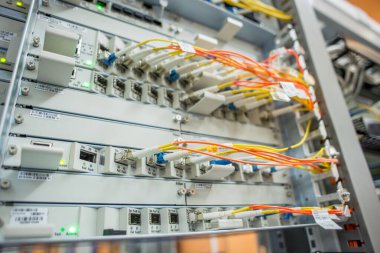 Sunucu odasındaki yama paneline bağlı kırmızı internet yama kablosu olan sunucu rafı