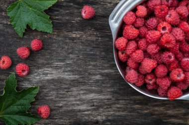 Taze toplanmış ahududu. Ahşap zemin üzerinde ahududu olan metal kase, üst görünüm, boşluğu kopyala