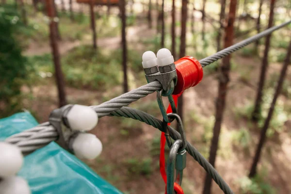 Taman Tali Sistem Untuk Melampirkan Kabel Pohon Close — Stok Foto