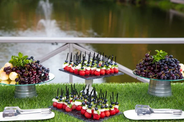 Banquete Catering Aire Libre Verano Mesa Con Aperitivos Canapés Frutas — Foto de Stock