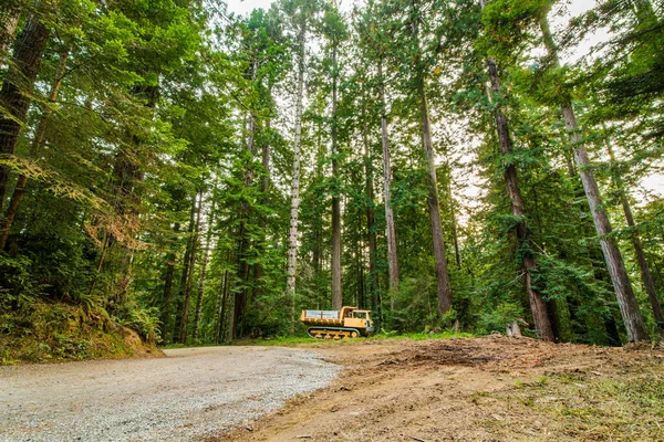 Estrada madeireira na floresta de sequoia, condado de Humboldt, norte da Califórnia — Fotografia de Stock
