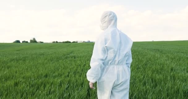 Rear of Caucasian male farmer ecologist in white protective costumes and goggles walking in green field in summer. Back view on man scientist and biologists strolling the margin with eco harvest. — Stockvideo