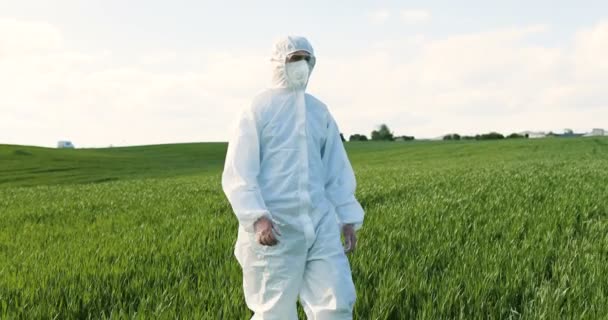 Caucasian male farmer ecologist in white protective costume and goggles walking in green field in summer. Man scientist and biologist strolling the margin with eco harvest. — ストック動画