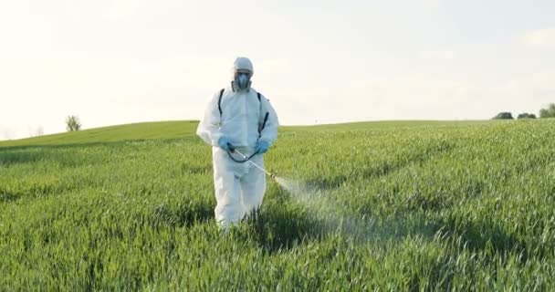 Agricultor masculino caucasiano em traje branco de proteção, máscara e óculos andando no campo verde e pulverizando pesticidas com pulverizador. Homem fumigando colheita com produtos químicos . — Vídeo de Stock