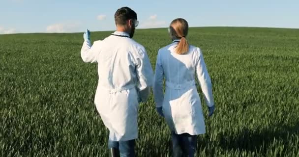 Rear op blanke mannelijke en vrouwelijke wetenschappers ecologen in witte jurken lopen in het groene veld en praten tijdens het onderzoek van de oogst. Man en vrouw wandelen in de marge. Achteraanzicht op een paar biologen. — Stockvideo