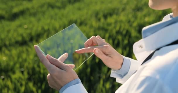 Pohled přes rameno ekoložky v bílých šatech klepající na průhlednou skleněnou obrazovku. Close up of futuristic device in field Touchscreen of hi-tech Scientist with tablet of future in hands. — Stock video