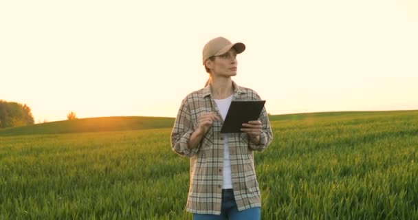 Caucasian pretty woman in hat walking the green field of wheat and using tablet computer. Young female farmer strolling in his margin and tapping on tablet device. Agricultural concept. — Stock video
