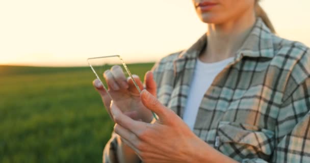 Close-up van glas futuïstische smartphone in handen van vrouwelijke fermer die in de zomer in het groene veld staan. Hoogtechnologische technologie van transparant apparaat. Een vrouw die de telefoon van de toekomst afluistert. Toegevoegde realiteit. — Stockvideo