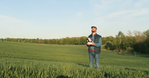 Blanc jolie homme agriculteur en chapeau debout dans le champ de blé vert et le contrôle de drone qui volent au-dessus de la marge. Homme utilisant un appareil tablette comme contrôleur. Technologies dans l'agriculture. — Video
