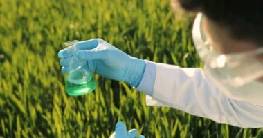 View over head on test tube with chemicals in hands in gloves of male Caucasian ecologist scientist in field. Man exploring and studying pesticides for good harvest outdoor in margin.