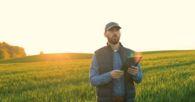 Caucasian man in hat walking the green field of wheat and using tablet computer. Young male farmer strolling in his margin and tapping on tablet device. Agricultural concept.