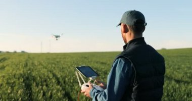 Caucasian man farmer in hat standing in green wheat field and controlling of drone which flying above margin. Male using tablet device as controller. Technologies in farming. Rear. Back view.