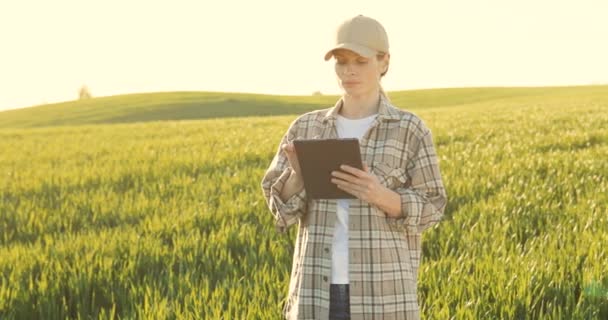 Portrait of beautiful young female farmer in hat standing in field and using tablet device. Pretty Caucasian woman tapping and scrolling on tablet computer in green margin with harvest in summer. — ストック動画