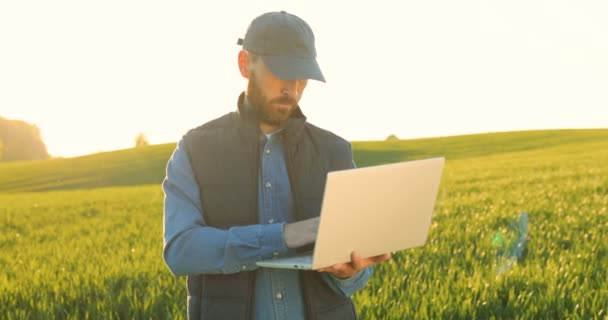 Caucasian young male farmer in hat standing in field and typing on keyboard of laptop computer. Attractive man using device in margin in summer and browsing online. — Stockvideo