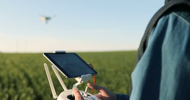 Közelkép kaukázusi férfi farmer kalapban áll a zöld búza mezőn, és ellenőrzése drón, amely repül a határ felett. Férfi használja tabletta eszköz vezérlő. Gazdálkodási technológiák. — Stock videók