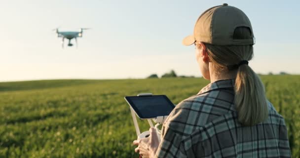 Close up of rear of Caucasian woman farmer in hat standing in green wheat field and controlling of drone which flying above margin. Female using tablet device as controller. Technologies in farming. — Stockvideo