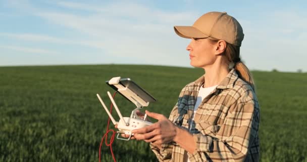 Närbild av kaukasisk kvinna bonde i hatt stående i grönt vete fält och kontroll av drönare som flyger över marginalen. Kvinna som använder surfplatta som styrenhet. Teknik inom jordbruket. — Stockvideo
