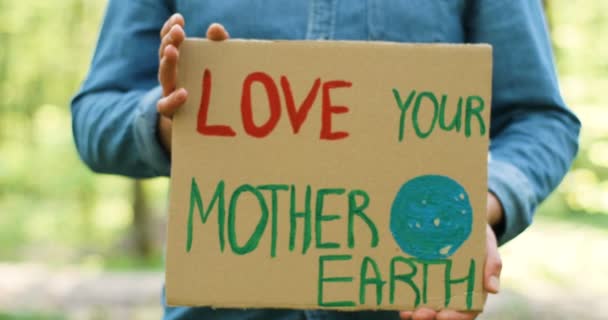 Close up of carton poster with words Love your Mother Earth in hands of Caucasian man. Male eco activist standing in forest or park on sunny day with single protest. — Stock Video