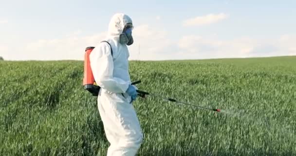 Mannelijke boer in witte beschermende kleding, handschoenen, masker en bril lopen het groene veld en sproeien pesticiden met pulverizator. Een man die de oogst ontsmet met chemicaliën. Begrip meststof. — Stockvideo