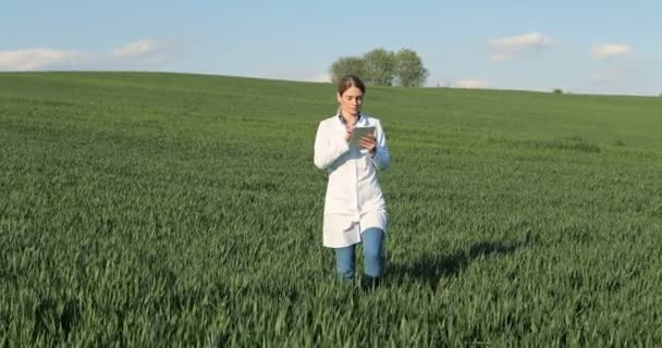 緑のフィールドに歩いてタブレットデバイスを使用して白いガウンで白人の美しい生態学者科学者。女性研究者生物学者緑の収穫の中を歩くとタブレットコンピュータをタップ. — ストック動画