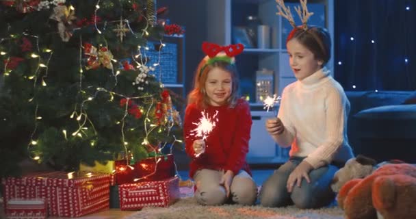 頭の上に面白い耳を持つ白人かなり小さな姉妹と手の中に輝きます暗闇の中で装飾されたクリスマスツリーで楽しみます. — ストック動画