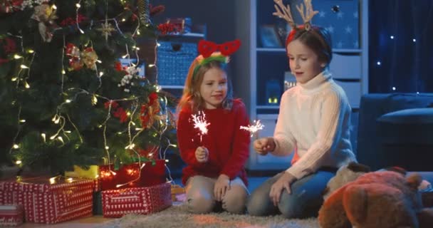 Cute little friendly sisters with funny ears on heads celebrating winter holidays with sparklers in hands at the nice Christmas tree at night. — Stock Video