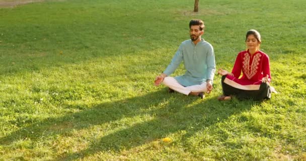 Hinduistická dvojice mužů a žen sedících v lotosu pózuje na zelené trávě a medituje. Mužské a ženské jógy v tradičním oblečení v parku za slunečného dne s meditací. Jóga venkovní v létě v Indii. — Stock video