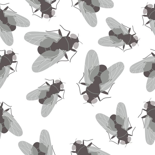 Seamless pattern with flies on white background