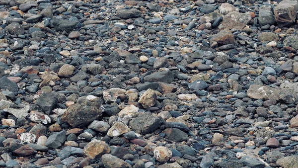 Geröll Strand Schöne Natur — Stockfoto