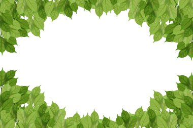 Yeşil arka planda üzüm yaprakları olan çerçeve. suluboya resimleme.