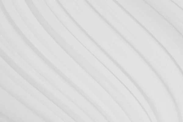 Beyaz kağıt dokusu. yumuşak beyaz dalga dokusu.