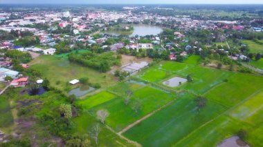 Kırsal alandaki tarlaların ve çayırların havadan çekilmiş fotoğrafı.