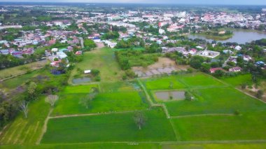 Pirinç tarlalarının havadan görünüşü