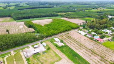 Tayland 'daki pirinç tarlalarının hava manzarası.