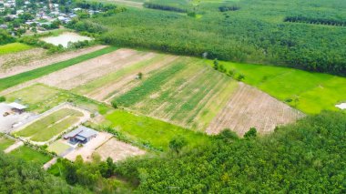 Polonya 'daki tarım alanının havadan görünüşü