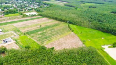 Tarlaları ve ormanları olan kırsal bölge manzarası