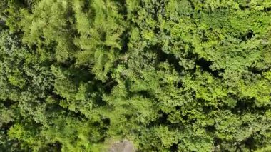 Phanom Rung Tarih Parkı, Buriram Tayland, Tayland 'ın en güzel parklarından biridir..