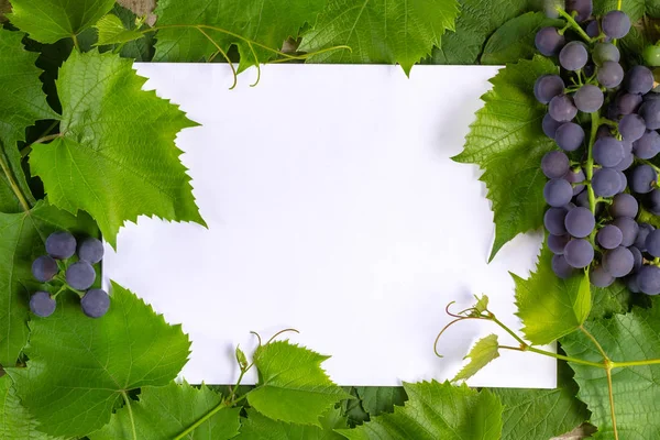 Kağıt beyaz bir levha üzerinde yaprakları çerçeve