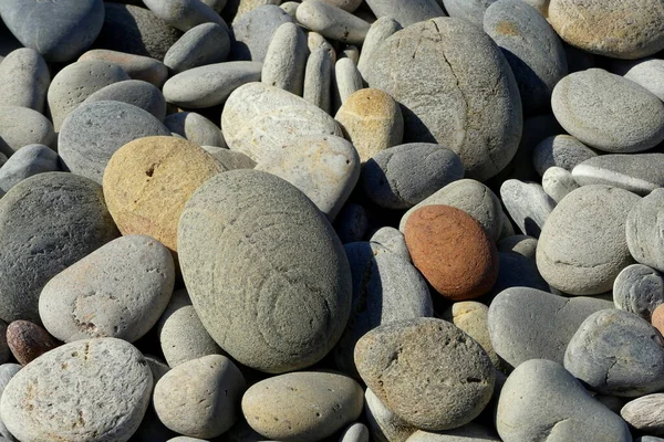 Imagen Natural Cerca Guijarros Multicolores Lavados Mar Una Playa Guijarros —  Fotos de Stock